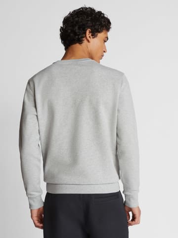 North Sails Sweatshirt in Hellgrau