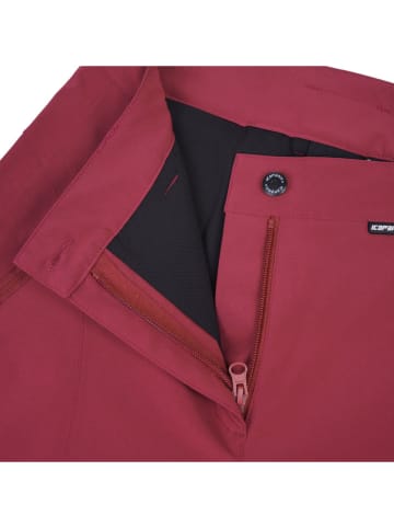 Icepeak Ski-/ Snowboardhose "Freyung" in Rot