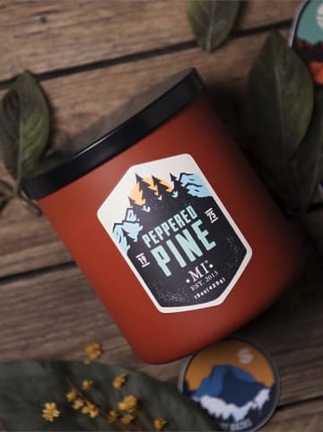 Colonial Candle Duftkerze "Peppered Pine" in Rot - 425 g