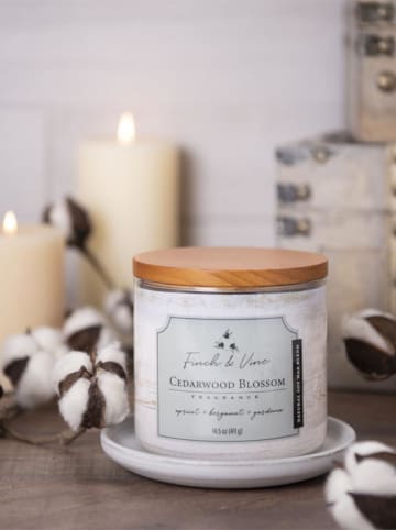 Colonial Candle Duftkerze "Cedarwood Blossom" in Weiß - 411 g