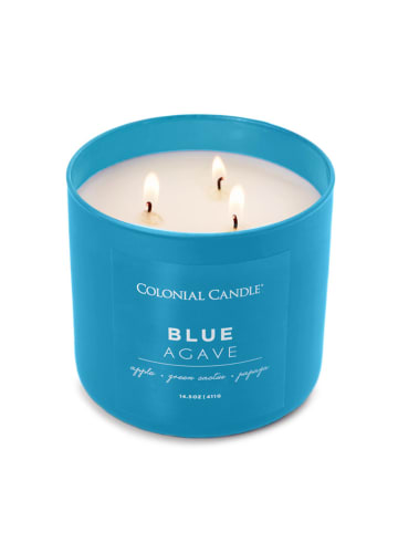 Colonial Candle Geurkaars "Blue Agave" blauw - 411 g