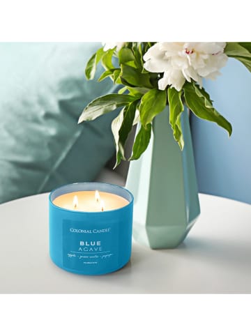 Colonial Candle Świeca zapachowa "Blue Agave" - 411 g
