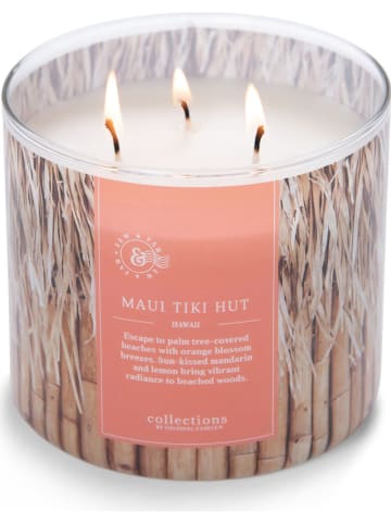 Colonial Candle Duftkerze "Maui Tiki Hut" in Hellbraun - 411 g