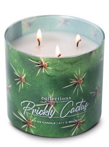 Colonial Candle Geurkaars "Desert Prickly Cactus" groen - 411 g