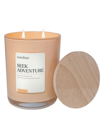 Colonial Candle Geurkaars "Seek Adventure" crème, 453 g
