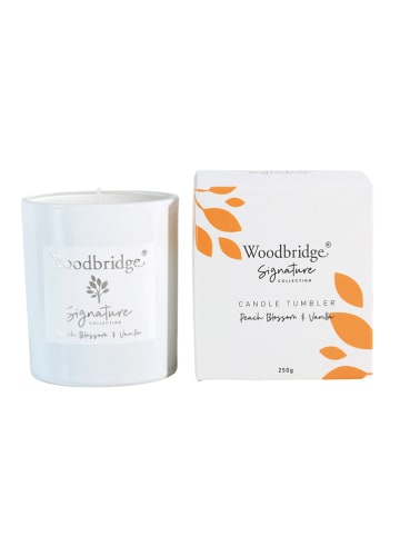 Woodbridge Geurkaars "Peach Blossom & Vanilla" wit - 250 g
