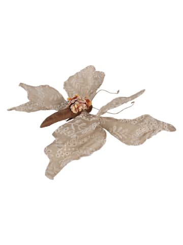 Clayre & Eef Dekoobjekt "Schmetterling" in Beige/ Braun - (B)33 x (H)6 x (T)31 cm