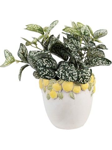 Clayre & Eef Doniczka w kolorze złoto-białym - wys. 19 x Ø 20 cm