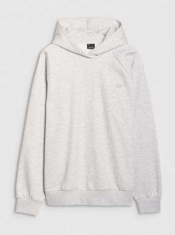 4F Hoodie in Grau