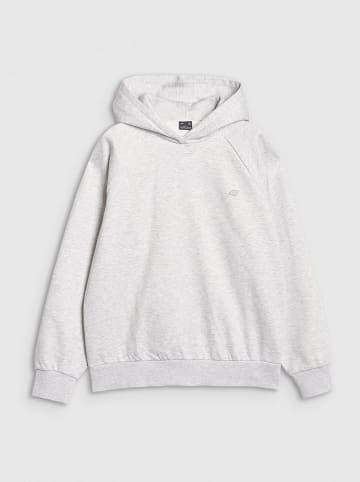 4F Hoodie in Grau