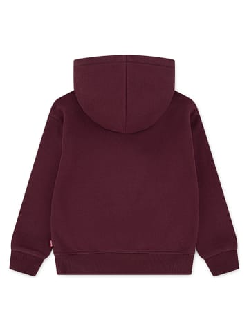 Levi's Kids Hoodie rood