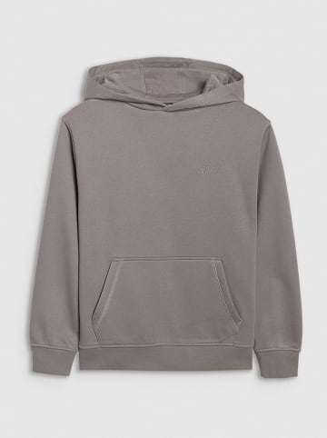 4F Hoodie in Grau