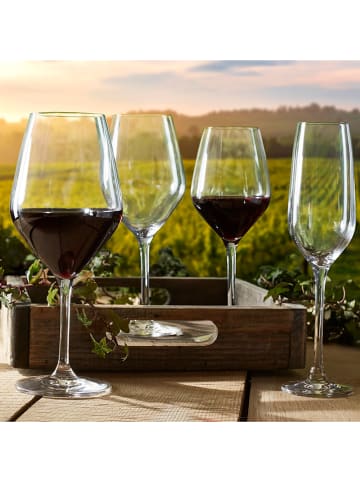 Ogo Living Kieliszki (6 szt.) do szampana - 190 ml