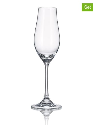 Ogo Living 6er-Set: Sektgläser in Transparent - 200 ml