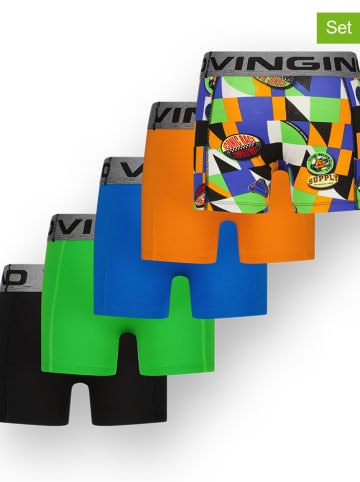 Vingino 5-delige set: boxershorts zwart/blauw/groen