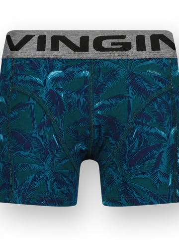 Vingino 7er-Set: Boxershorts in Blau/ Grau/ Schwarz