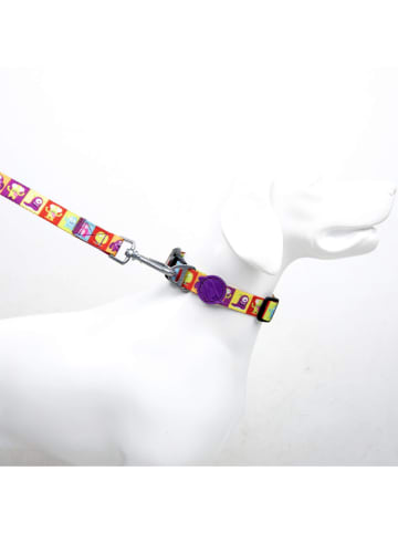 Paws&Whiskers Hundehalsband in Bunt