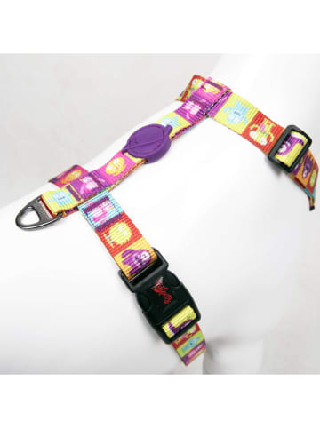 Paws&Whiskers Hondentuigje meerkleurig