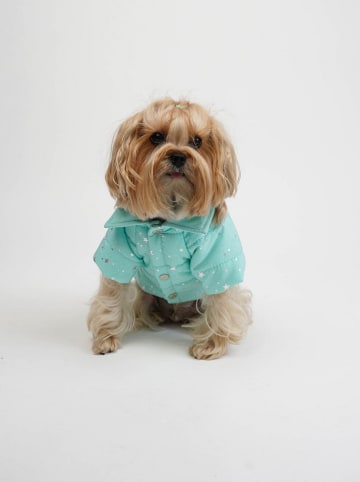 Paws&Whiskers Hundehoodie in Türkis