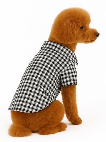 Paws&Whiskers Hondenhoodie zwart/wit