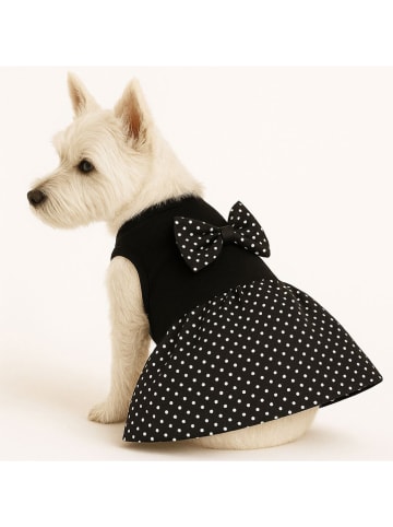 Paws&Whiskers Bluza w kolorze czarnym dla psa