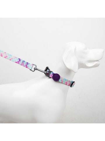 Paws&Whiskers Hondenhalsband meerkleurig