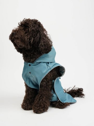 Paws&Whiskers Hundehoodie in Hellblau