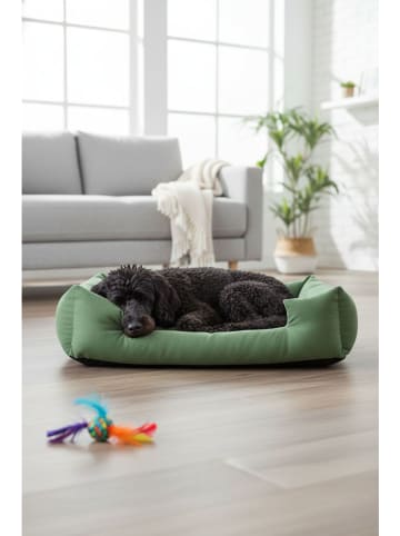 Paws&Whiskers Dierenbed ''Kare'' groen