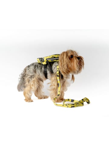 Paws&Whiskers 2tlg. Hundegeschirr-Set in Gelb