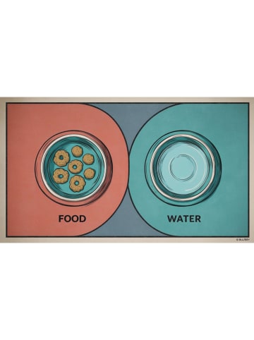 Paws&Whiskers Voerbakmat turquoise/oranje - (L)40 x (B)70 cm