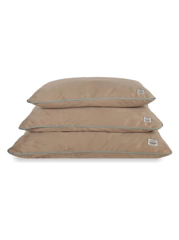 Paws&Whiskers Tierbett ''Puppy Dog'' in Beige