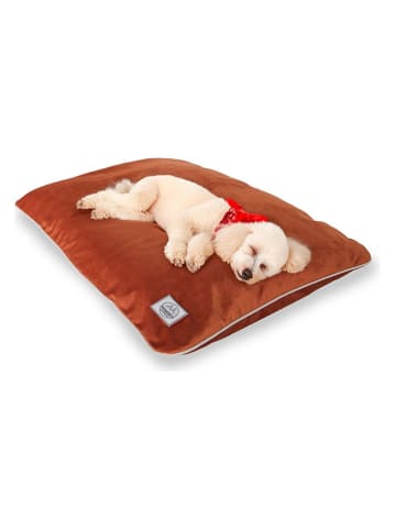 Paws&Whiskers Tierbett ''Puppy Dog'' in Orange