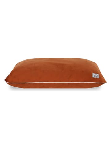 Paws&Whiskers Tierbett ''Puppy Dog'' in Orange