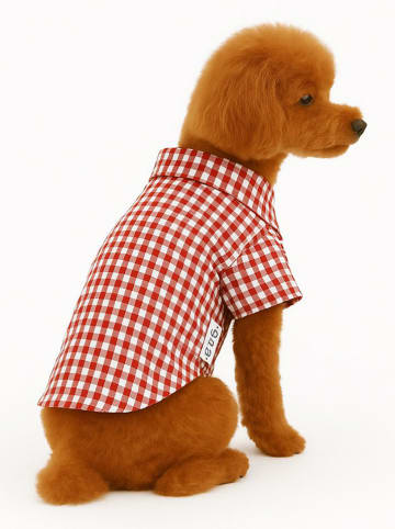 Paws&Whiskers Hondenhoodie bruin