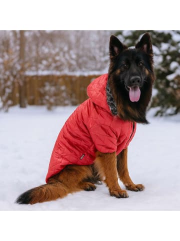 Paws&Whiskers Bluza w kolorze czerwonym dla psa