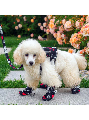 Paws&Whiskers Hondenschoenen zwart