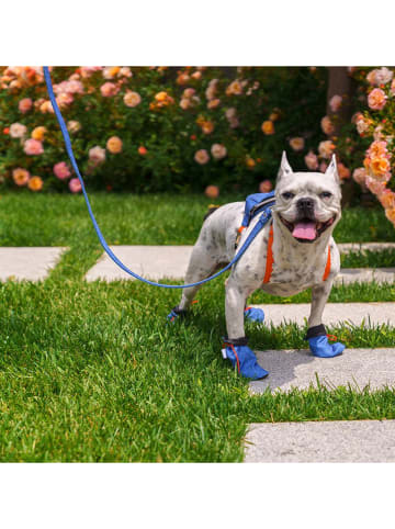 Paws&Whiskers Hundeschuhe in Blau
