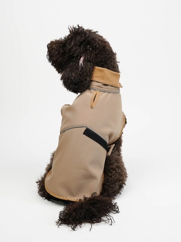 Paws&Whiskers Bluza w kolorze beżowym dla psa