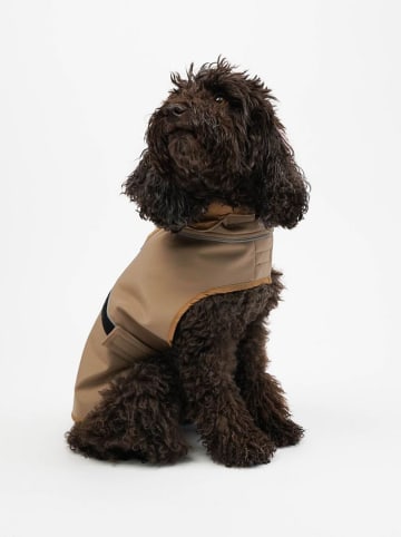 Paws&Whiskers Bluza w kolorze beżowym dla psa