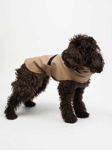 Paws&Whiskers Hundehoodie in Beige