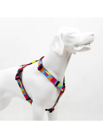 Paws&Whiskers Hondentuigje "Splash" meerkleurig