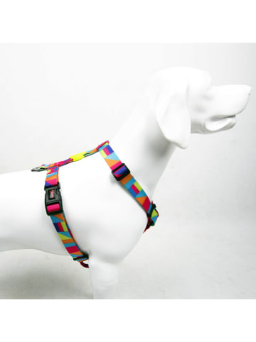 Paws&Whiskers Hondentuigje "Splash" meerkleurig