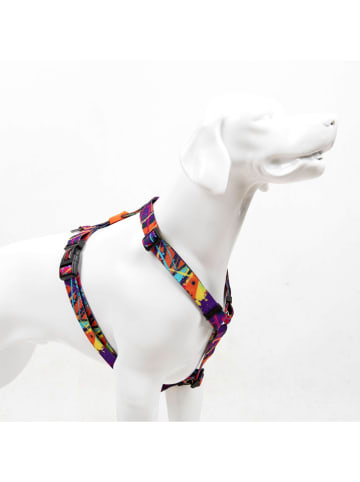 Paws&Whiskers Hundegeschirr ''Splash'' in Lila/ Orange
