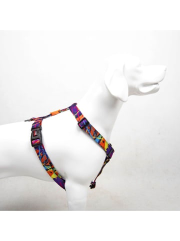 Paws&Whiskers Hundegeschirr ''Splash'' in Lila/ Orange