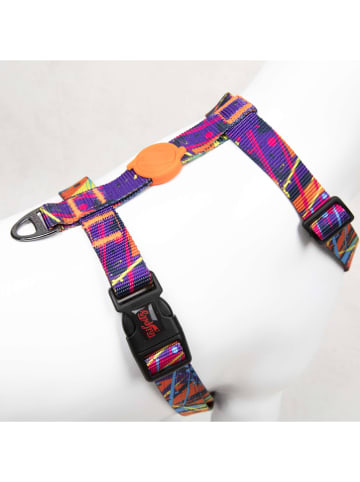Paws&Whiskers Hundegeschirr ''Splash'' in Lila/ Orange