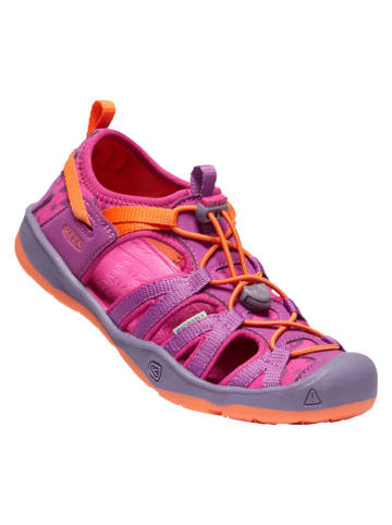 Keen Halbsandalen "Moxie" in Lila/ Pink