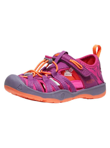 Keen Enkelsandalen "Moxie" roze/paars