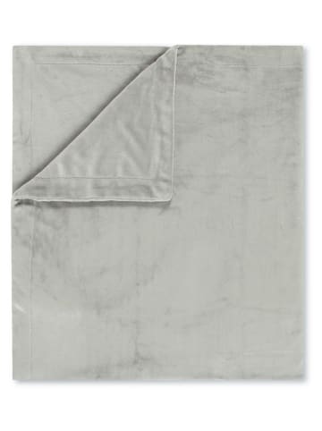 Hip Plaid in Hellgrau