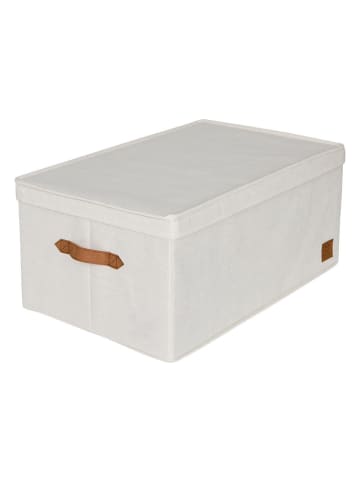 STORE IT Weihnachtskugelbox in Beige - (B)58 x (H)25 x (T)36 cm