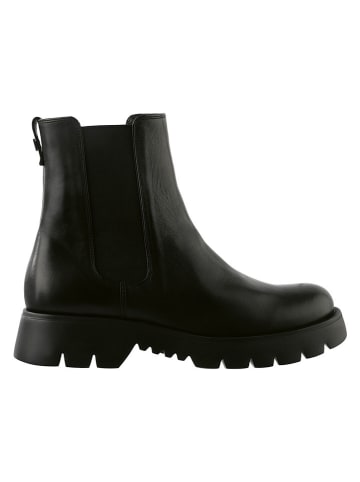 Högl Leder-Chelsea-Boots "Montana" in Schwarz